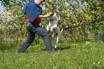 frisbee spielen