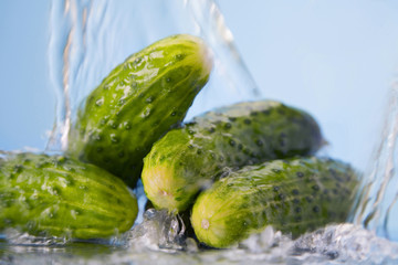 vegetable