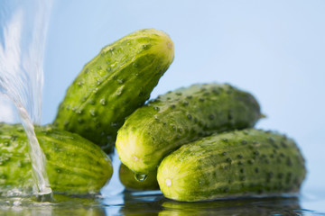 vegetable