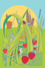 colored art pen draw melov summer