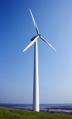 Fototapeta premium Windmill