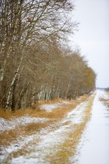 Ditch on side of road