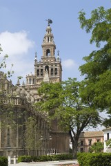 The Giralda, Seville, Spain