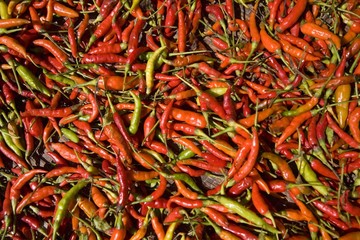 Fototapeta premium Chili peppers