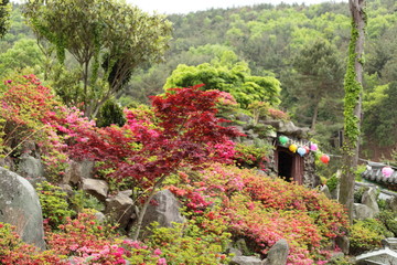 Tempel auf Geoje