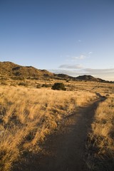 Path in high desert foothills