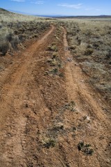 Rural dirt road