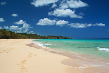 Fototapeta na wymiar Beautiful deserted palm lined caribbean beach