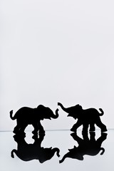 Elephant pair reflection