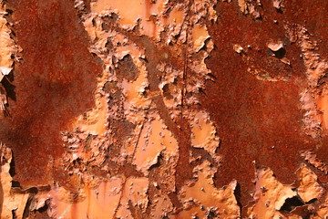 Rost