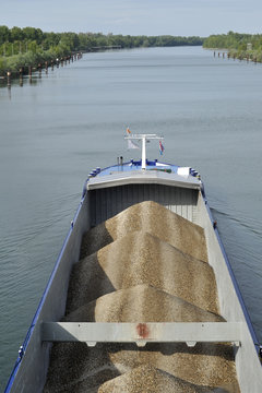 p&eacute;niche sur le rhin