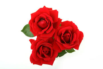 bouquet de roses rouge