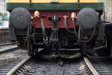 A train on the tracks
