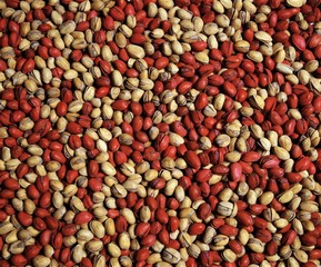 Pistachio nuts