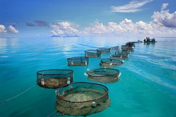 Zelfklevend Fotobehang Marine fishery in tropical sea © Jiayi
