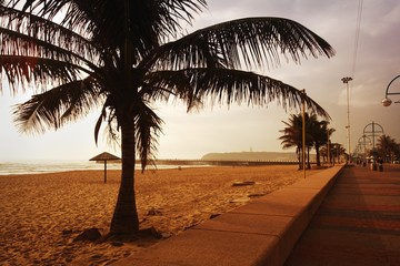 Beach, Durban, South Africa - obrazy, fototapety, plakaty