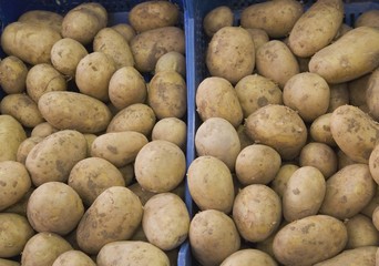 Box of fresh potatoes