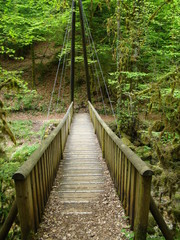 Petit pont en bois