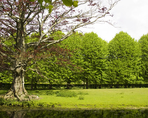 Obraz premium Landscape