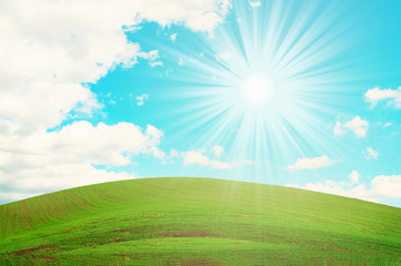Fototapeta na wymiar Wonderful green field and blue sun sky.