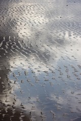 Clouds reflected in the water at low tide