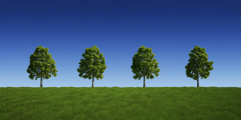 Trees on a row