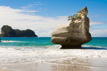 Cathedral Cove Beach, New Zealand
