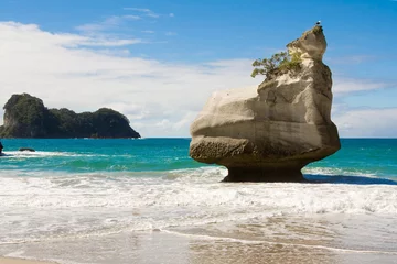 Wall murals Cathedral Cove Cathedral Cove Beach, New Zealand