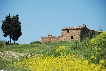 toscana