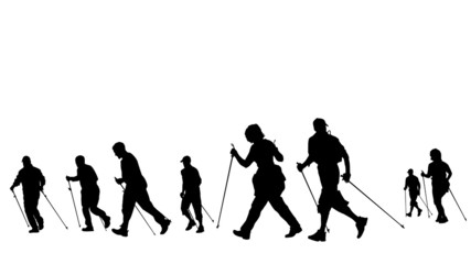 group of nordic walkers,  silhouettes - 13970241