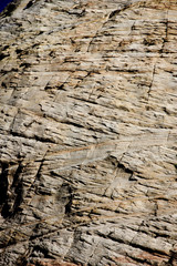 Checkerboard Mesa at the Zion National Park