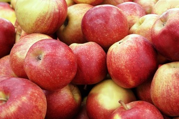 apples