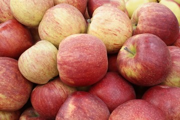 apples