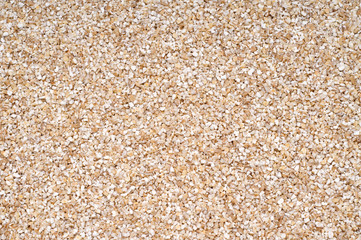 Wheat small background