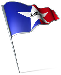 Flag pin - San Antonio