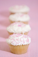 Pink Cupcakes
