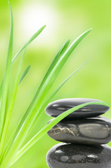 Spa stones and green leaves