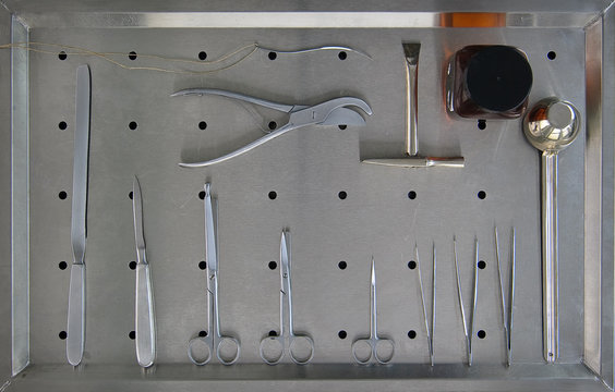 Instrumente Obduktion #4