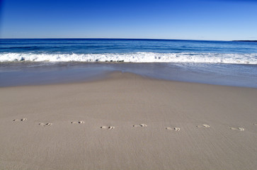 Pristine Beach