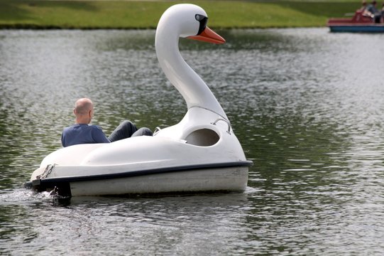 Boot - mit dem Schwan &uuml;bers Wasser