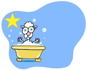 Poodle Bath