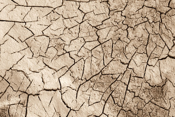 Cracked ground