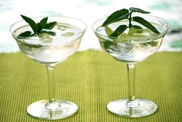 2 coupes de boisson à la menthe fraiche bio