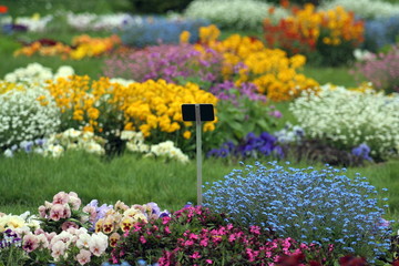 giardino di fiori multicolore