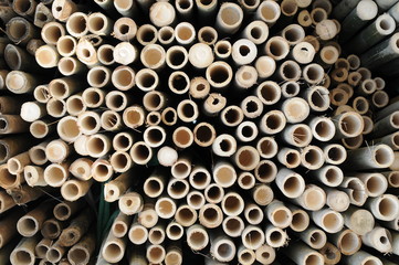 Background of bamboo