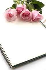 Rose and notebook close up