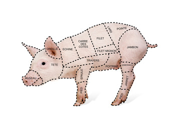 Pork cut chart poster in french © Eric Isselée
