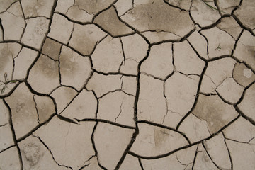 cracked soil