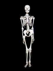 Skeleton towards black background