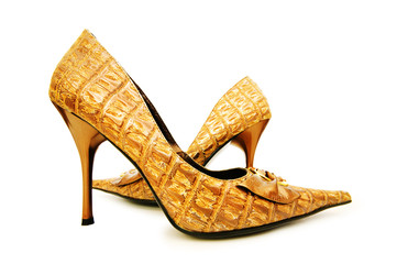 Obraz premium Woman shoes isolated on the white background